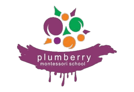 Plumberry Montessori School logo